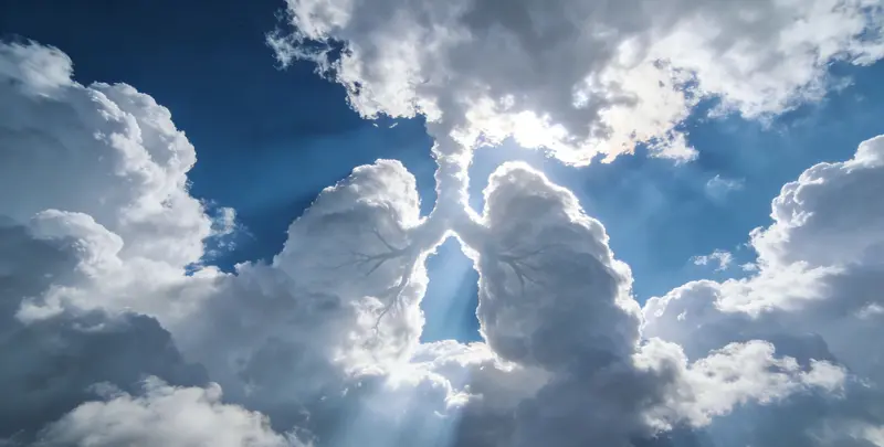 黔东南肺癌靶向120基因检测（组织）图片1