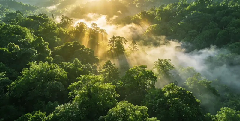 黔东南肺癌12基因ctDNA突变检测(血液）图片1